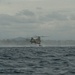 Iron Fist 25 | 31st MEU, JGSDF conducts Bilateral Helocast