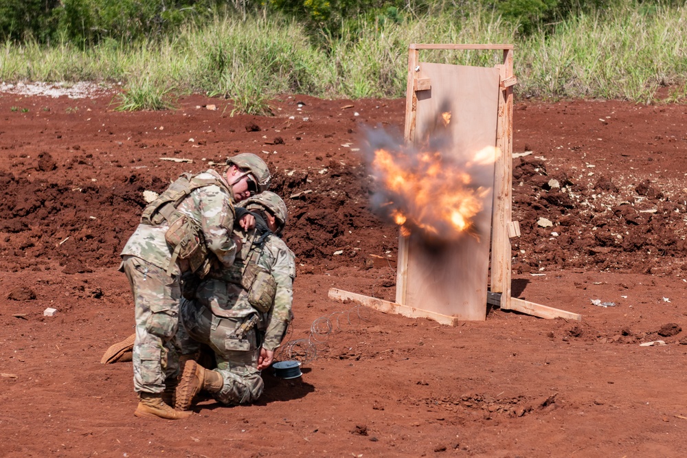 Hawaii Army National Guard’s combat engineers showcase warfighting capabilities with demolition training