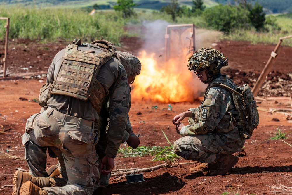 Hawaii Army National Guard’s combat engineers showcase warfighting capabilities with demolition training