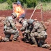 Hawaii Army National Guard’s combat engineers showcase warfighting capabilities with demolition training