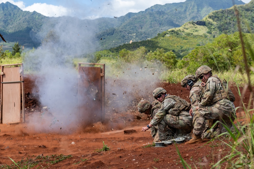 Hawaii Army National Guard’s combat engineers showcase warfighting capabilities with demolition training