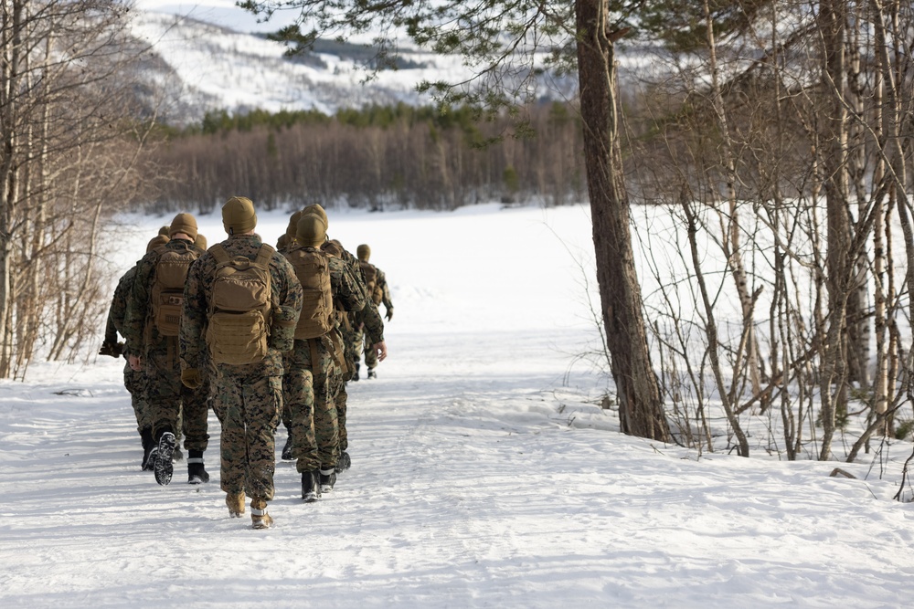 Exercise Joint Viking 25: 2d Regiment Promotion Ceremony