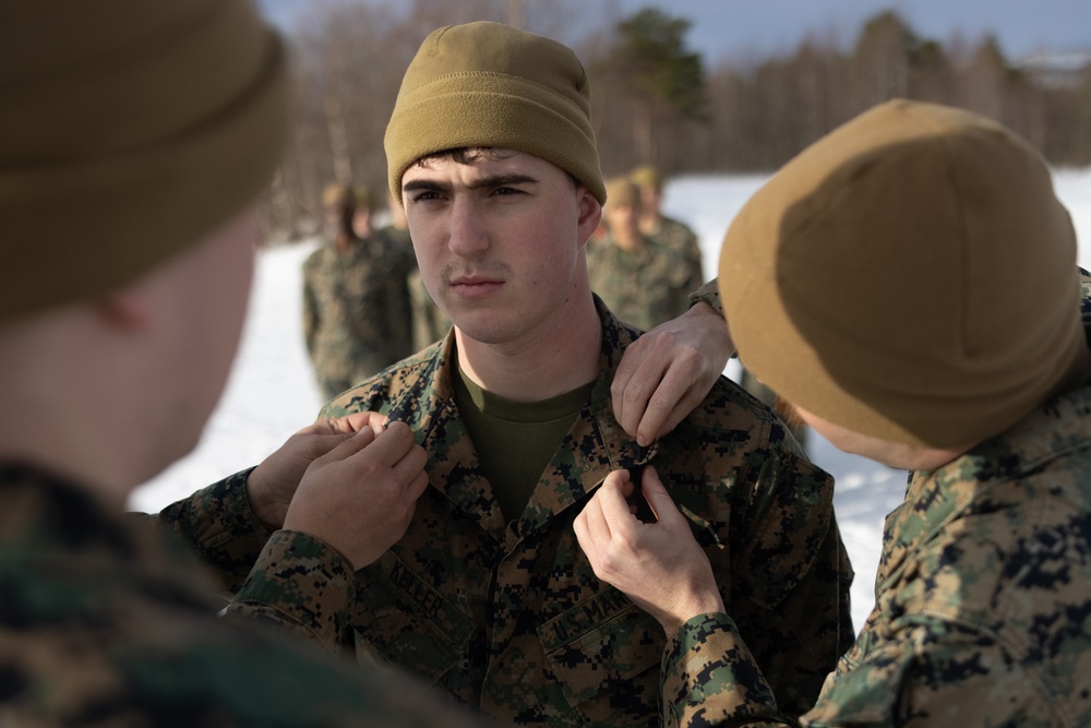 Exercise Joint Viking 25: 2d Regiment Promotion Ceremony