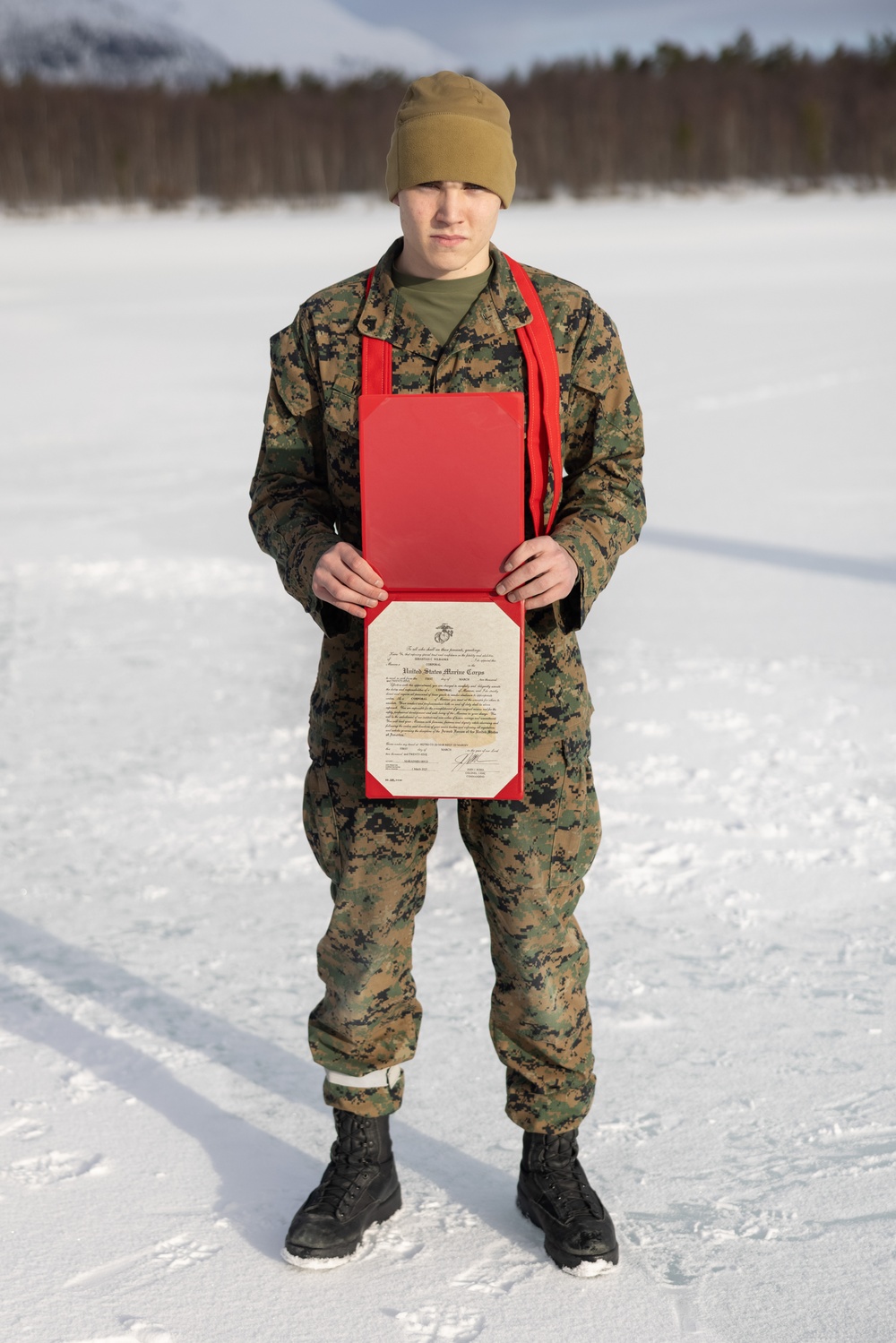 Exercise Joint Viking 25: 2d Regiment Promotion Ceremony