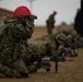Iron Fist 25 | U.S. Marines conduct live-fire training with Japan