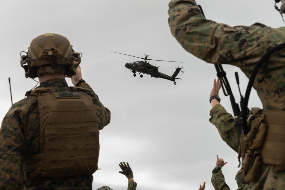 Iron Fist 25 | 31st MEU, JGSDF TACP Training