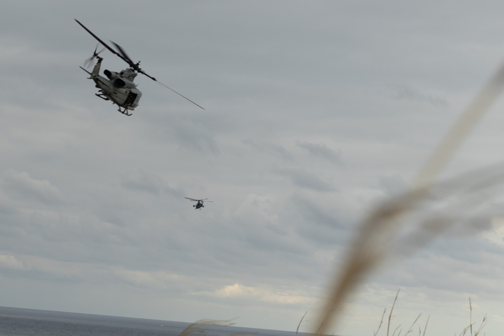 Iron Fist 25 | 31st MEU, JGSDF TACP Training