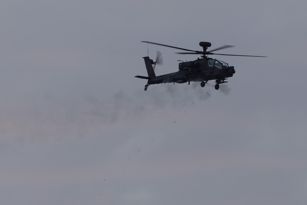 Iron Fist 25 | 31st MEU, JGSDF TACP Training