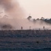 Spartans Participate in Spartan Focus Live Fire Exercise