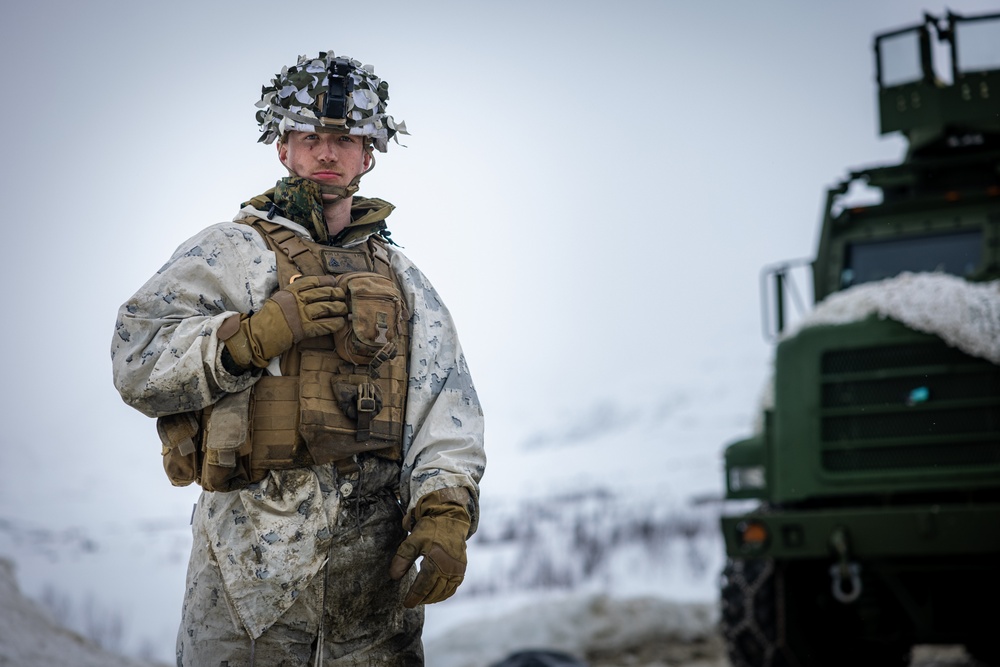 Exercise Joint Viking 25: M777 Howitzer Direct Fire Range