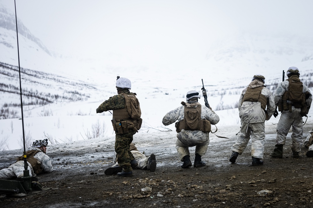 Exercise Joint Viking 25: M777 Howitzer Direct Fire Range