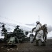 Exercise Joint Viking 25: M777 Howitzer Direct Fire Range