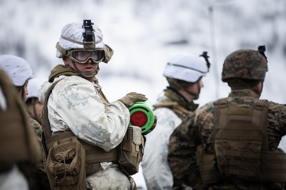 Exercise Joint Viking 25: M777 Howitzer Direct Fire Range