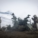 Exercise Joint Viking 25: M777 Howitzer Direct Fire Range