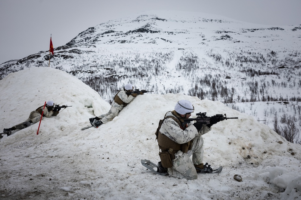 Exercise Joint Viking 25: M777 Howitzer Direct Fire Range