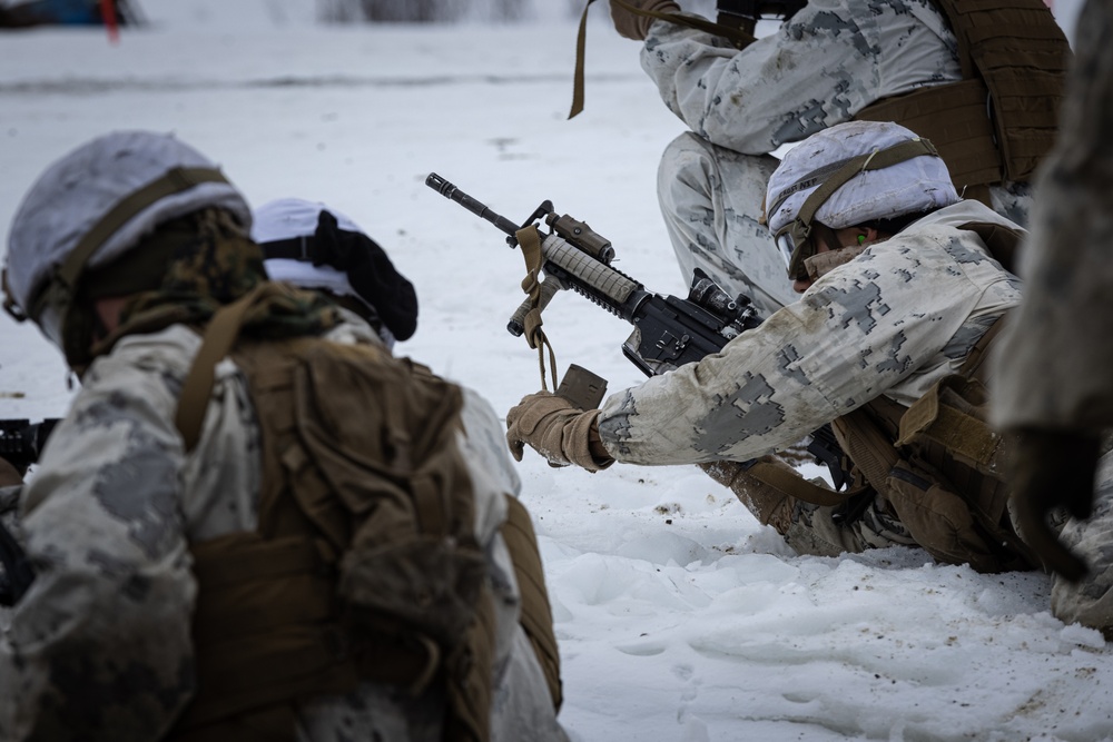 Exercise Joint Viking 25: M777 Howitzer Direct Fire Range