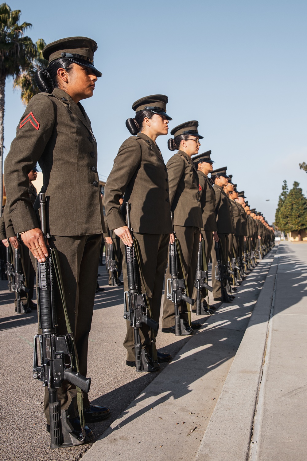 India Company Battalion Commander Inspection