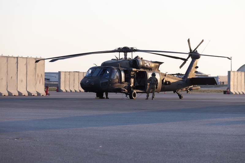 OIR partners conducts Air Assault riding on the Wings of Destiny