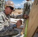 Seabees of Naval Mobile Construction Battalion (NMCB) 133