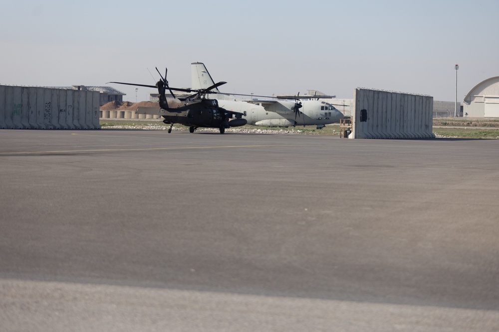 TF Nighthawk UH-60 Takes Flight