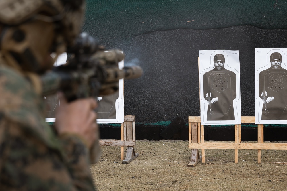 Iron Fist 25 | 31st MEU conducts bilateral short bay range