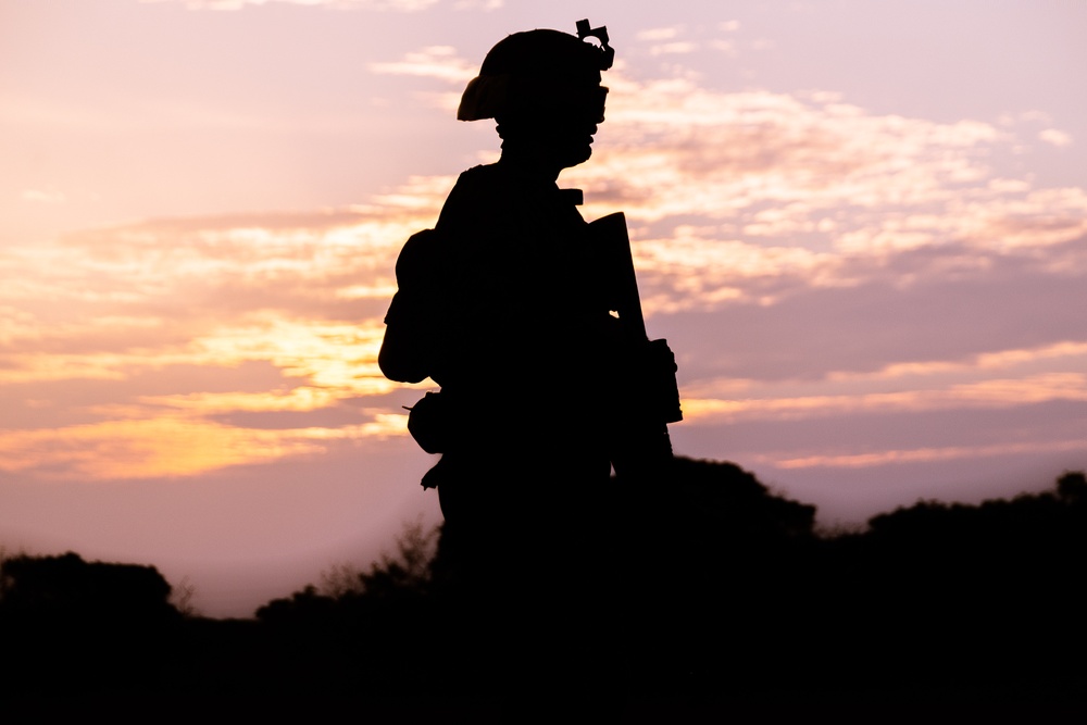 Iron Fist 25 | 9th ESB, JGSDF conduct simulated bilateral patrol