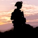 Iron Fist 25 | 9th ESB, JGSDF conduct simulated bilateral patrol