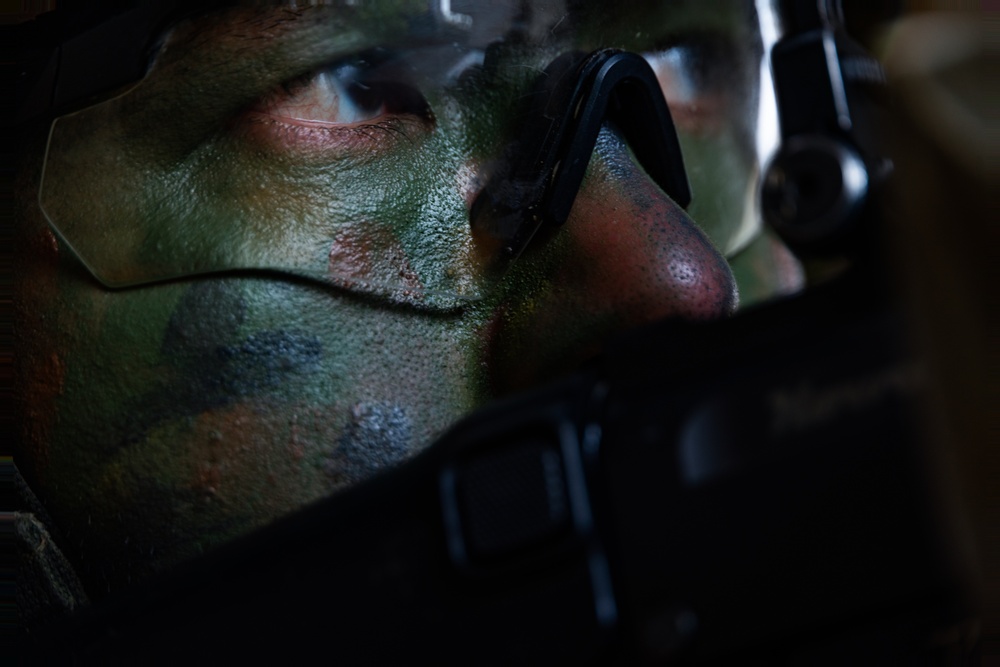 Iron Fist 25 | 9th ESB, JGSDF conduct simulated bilateral patrol