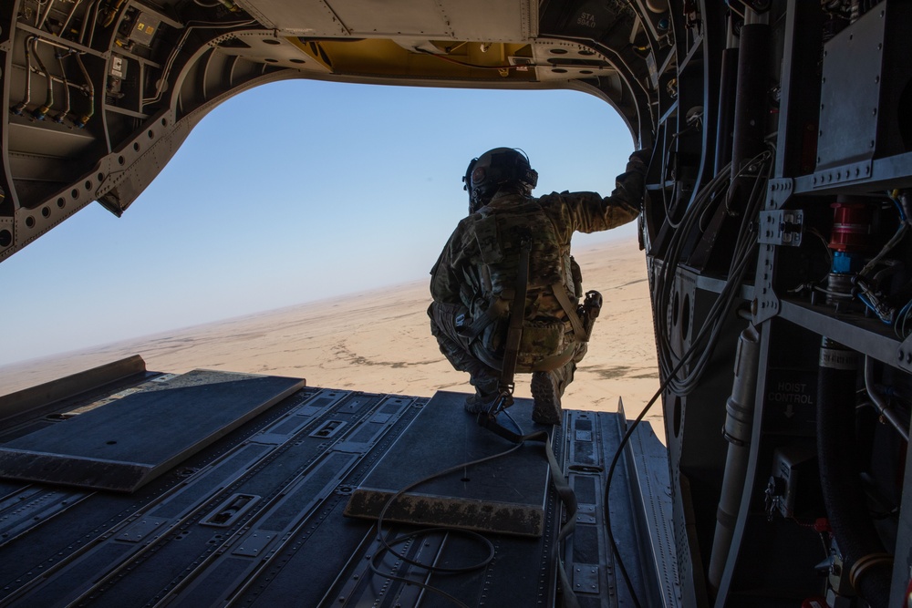 101st CAB and Coalition forces conduct joint Training Mission at Al Asad Air Base