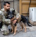 Military Working Dogs demonstrate skills to the Coalition