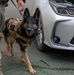 Military Working Dogs demonstrate skills to the Coalition