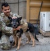 Military Working Dogs demonstrate skills to the Coalition