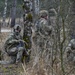Fox Troop, 2CR LFX