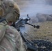 Fox Troop, 2CR LFX