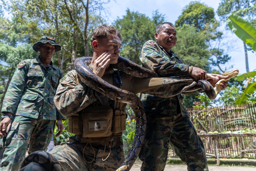 Cobra Gold 25: 1st LAR Bn. Marines, sailors learn jungle survival skills