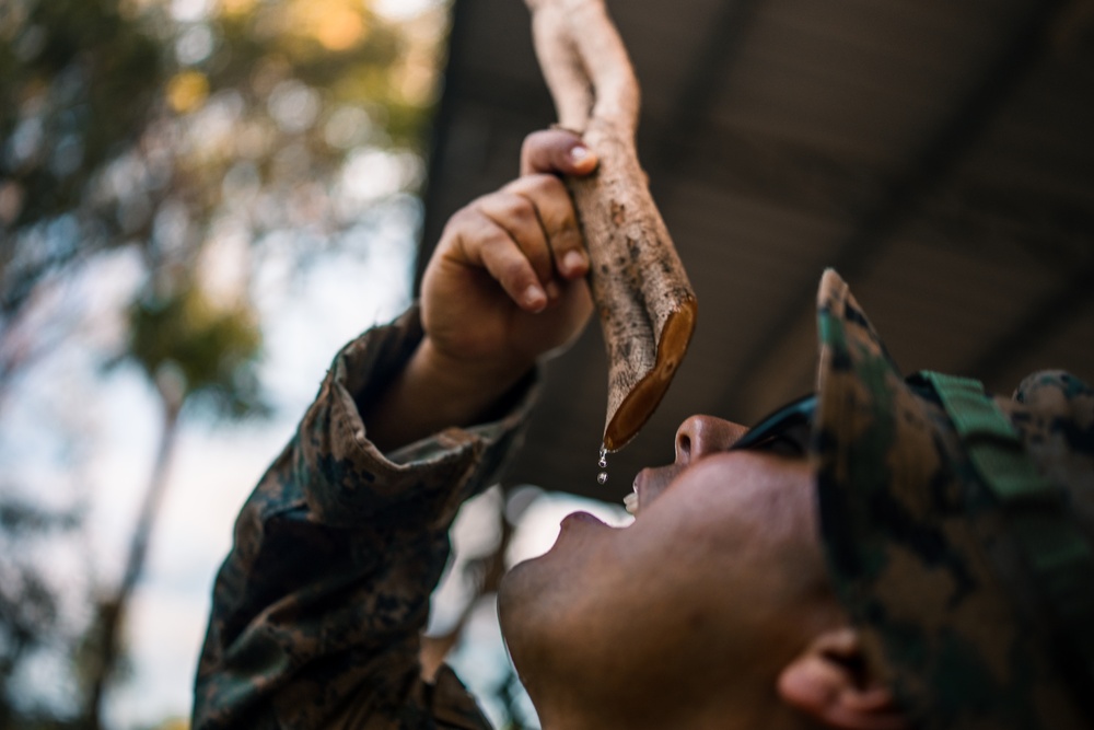 Cobra Gold 25: 1st LAR conducts Patrol, Jungle Survival Training