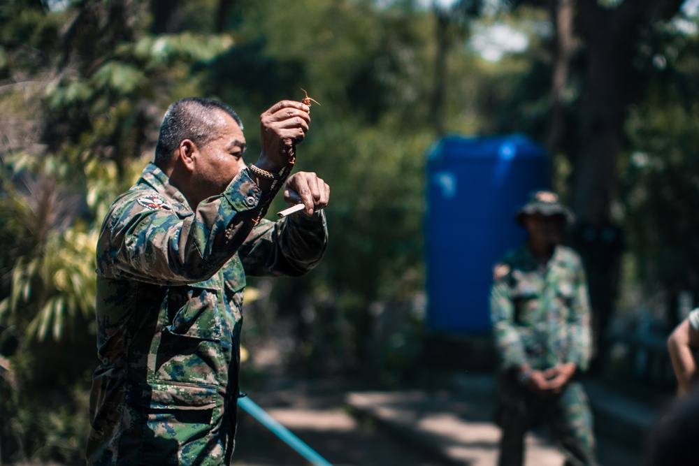 Cobra Gold 25: 1st LAR conducts Patrol, Jungle Survival Training