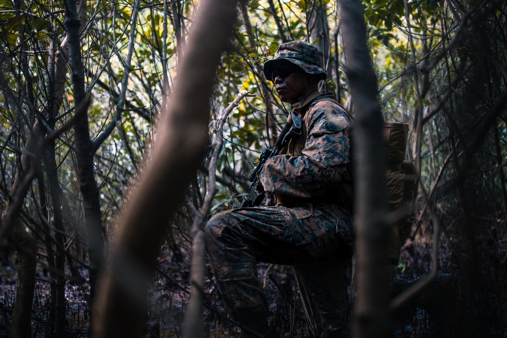 Cobra Gold 25: 1st LAR conducts Patrol, Jungle Survival Training