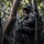 Cobra Gold 25: 1st LAR conducts Patrol, Jungle Survival Training