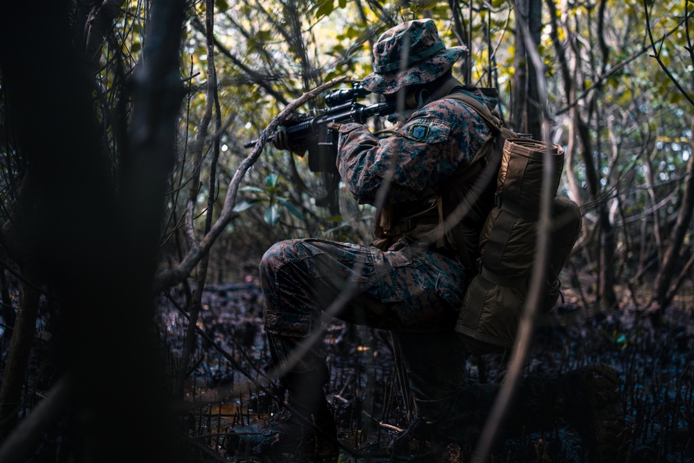 Cobra Gold 25: 1st LAR conducts Patrol, Jungle Survival Training