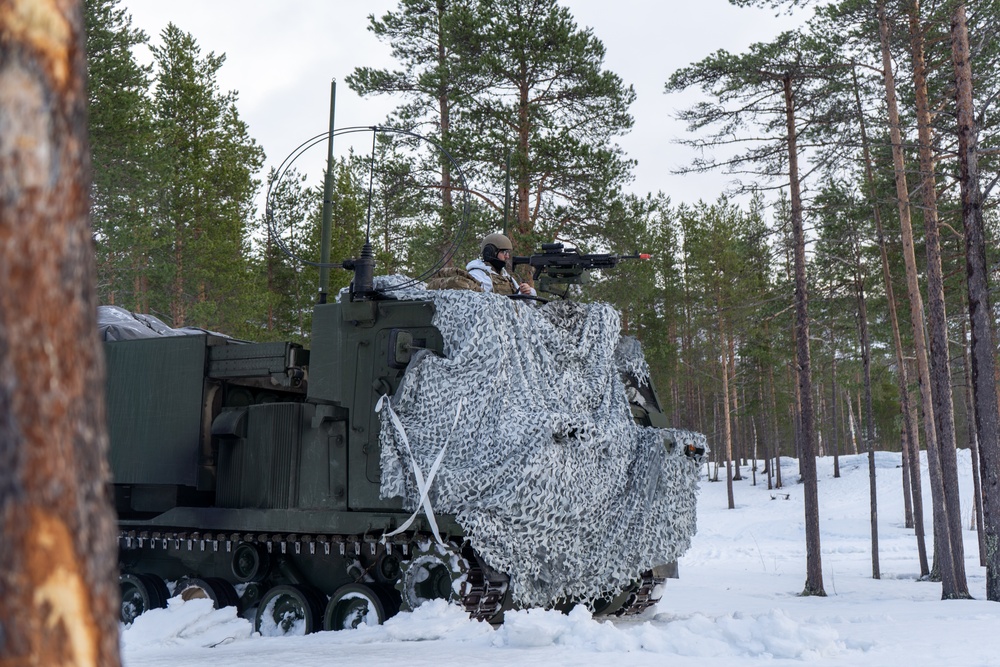 MLRS battalion conducts platoon evaluations in Norway during exercise