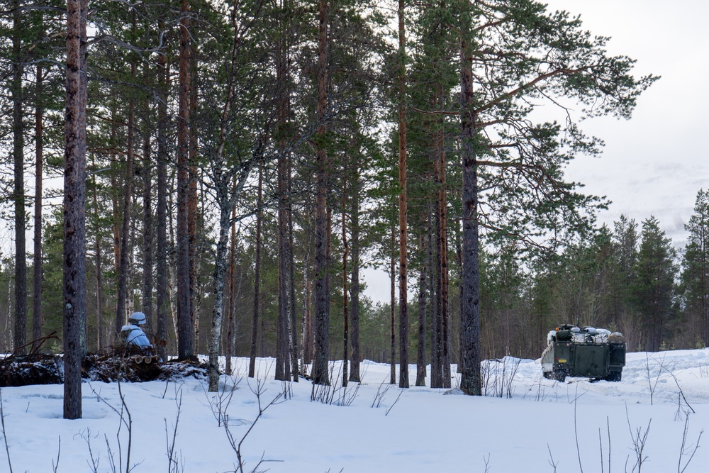 MLRS battalion conducts platoon evaluations in Norway during exercise