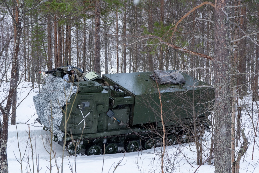 MLRS battalion conducts platoon evaluations in Norway during exercise