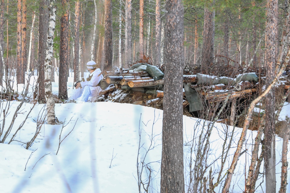 MLRS battalion conducts training with M270A2 launchers during exercise in Norway