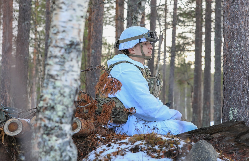 MLRS battalion conducts training with M270A2 launchers during exercise in Norway