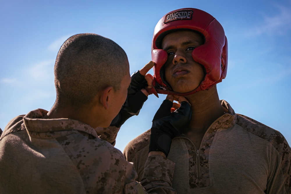 Hotel Company Body Sparring