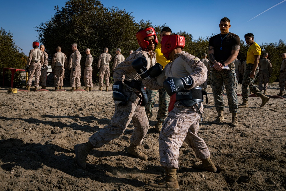 Hotel Company Body Sparring