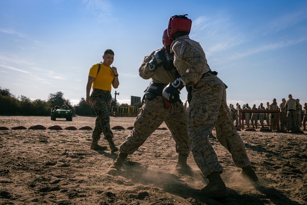 Hotel Company Body Sparring