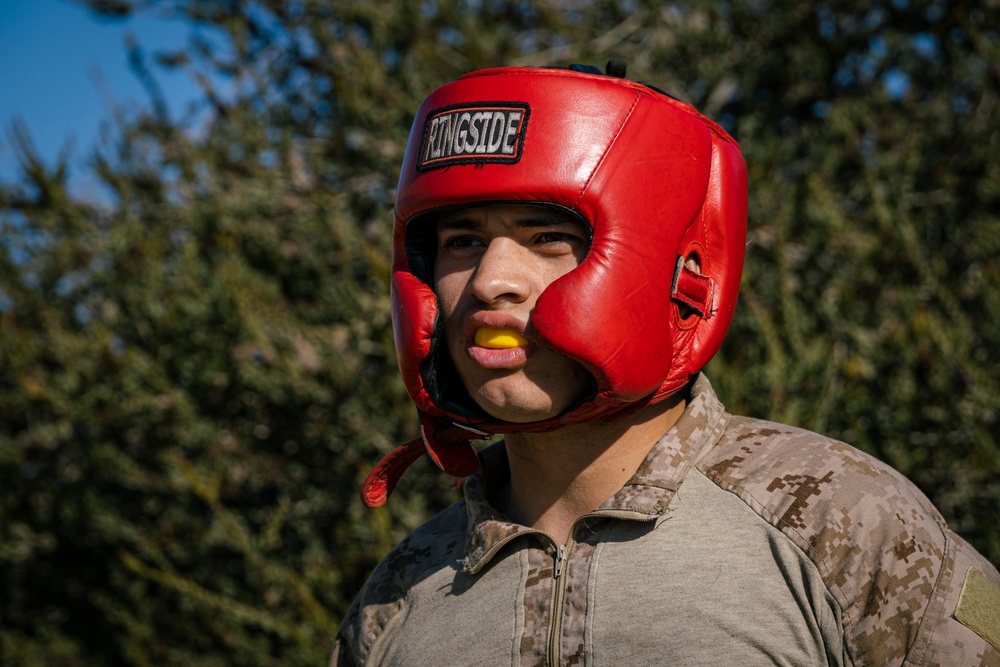 Hotel Company Body Sparring