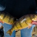 Beyond the base: ice fishing on Devils Lake